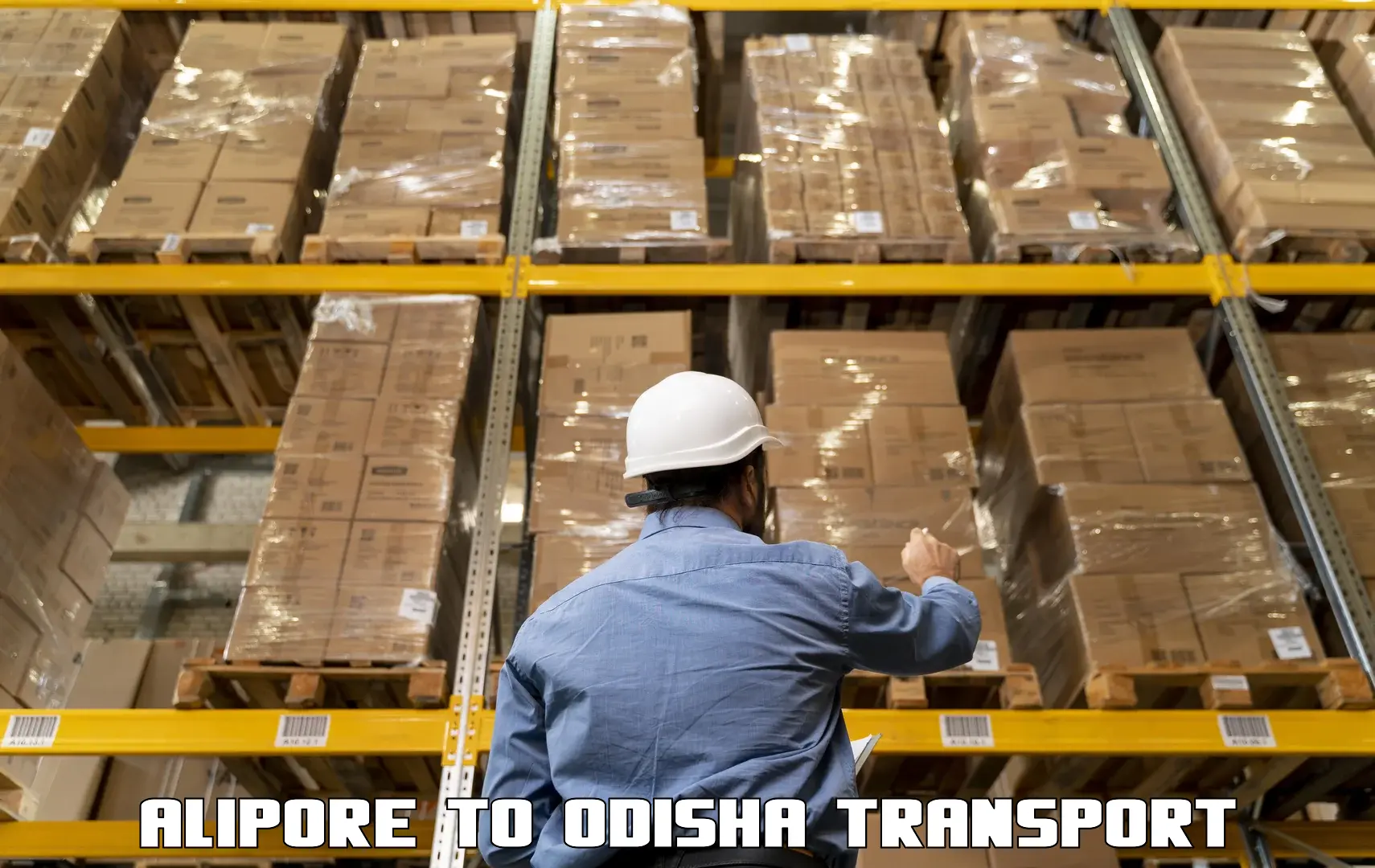 Container transportation services in Alipore to Bhutasarasingi