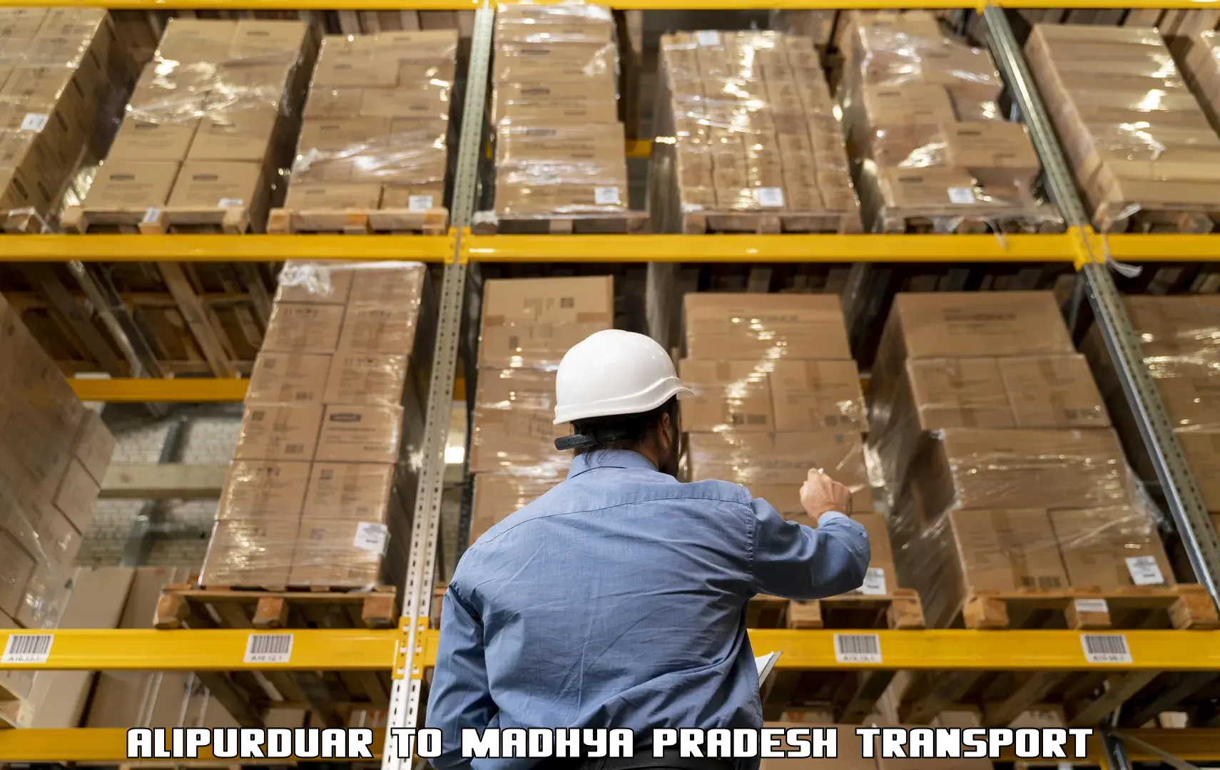 Air freight transport services Alipurduar to Vidisha
