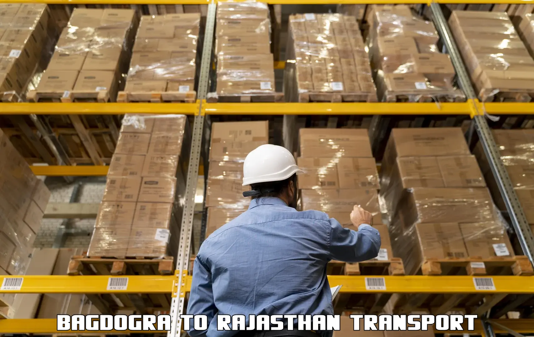 International cargo transportation services in Bagdogra to Chittorgarh