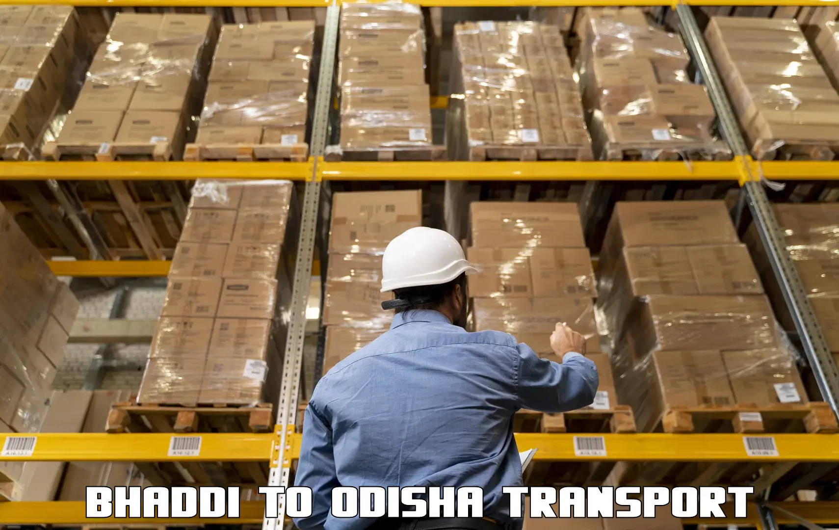 Container transport service Bhaddi to Khordha