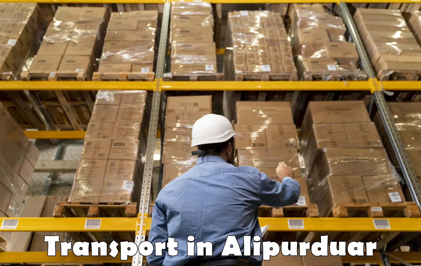 International cargo transportation services in Alipurduar