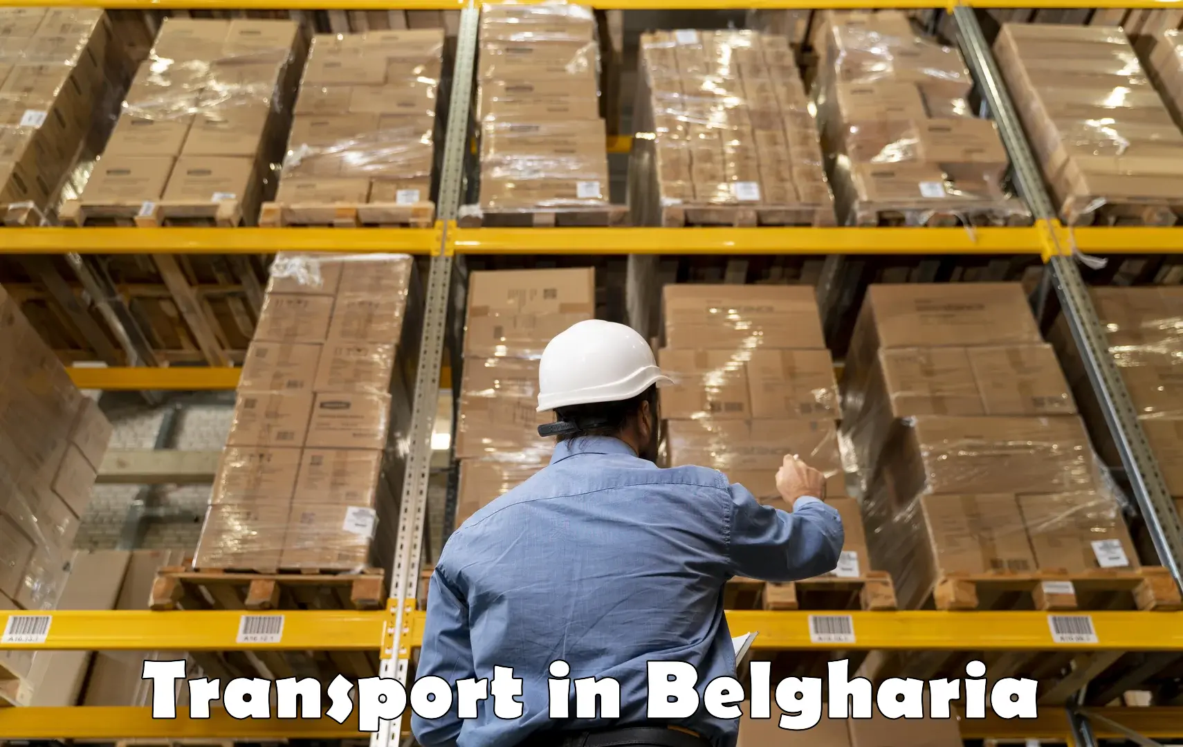 India truck logistics services in Belgharia