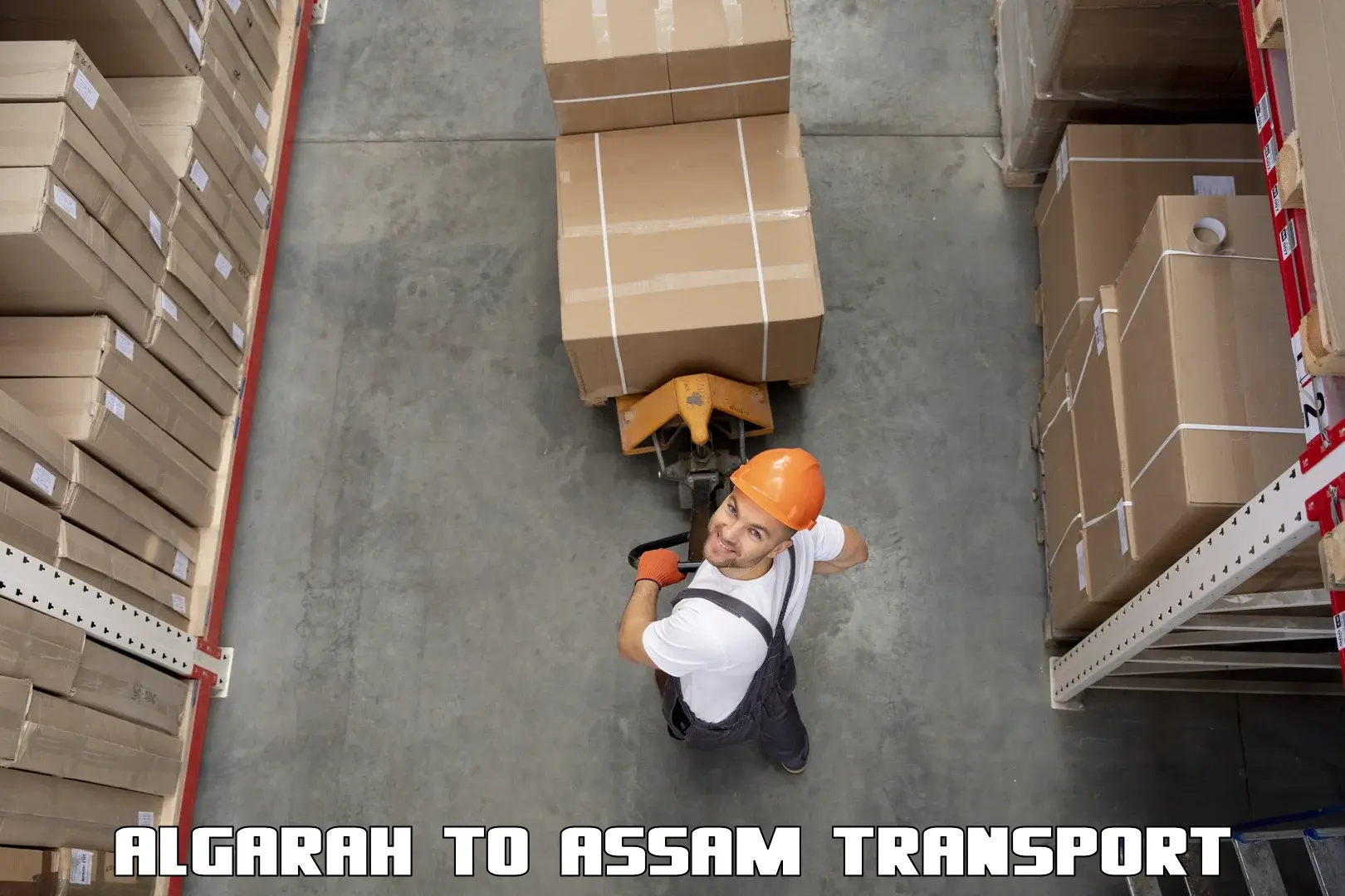 Container transportation services in Algarah to Guwahati University