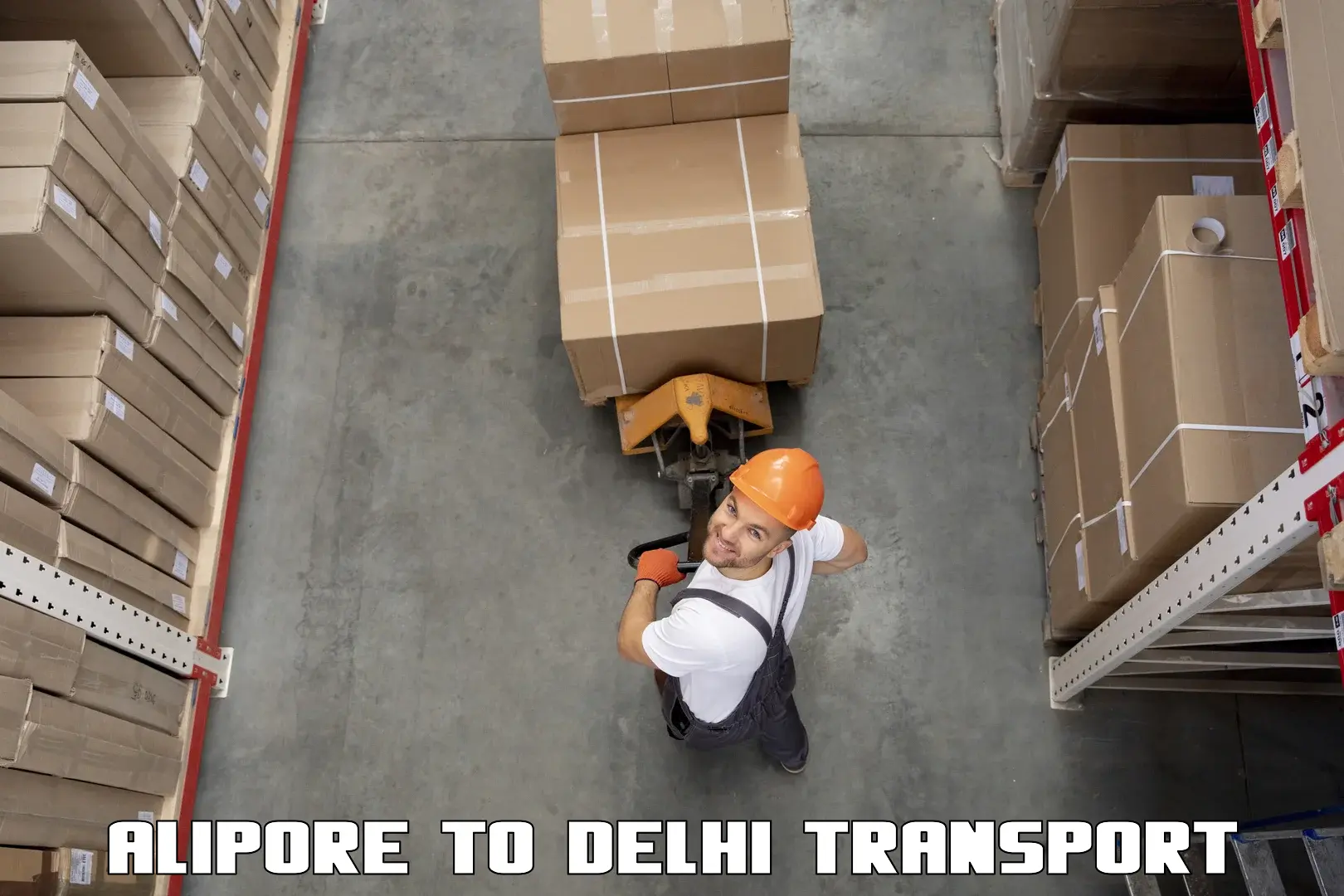 Daily parcel service transport in Alipore to Naraina Industrial Estate