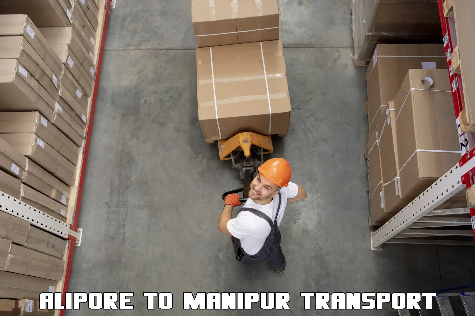 Interstate goods transport Alipore to Manipur
