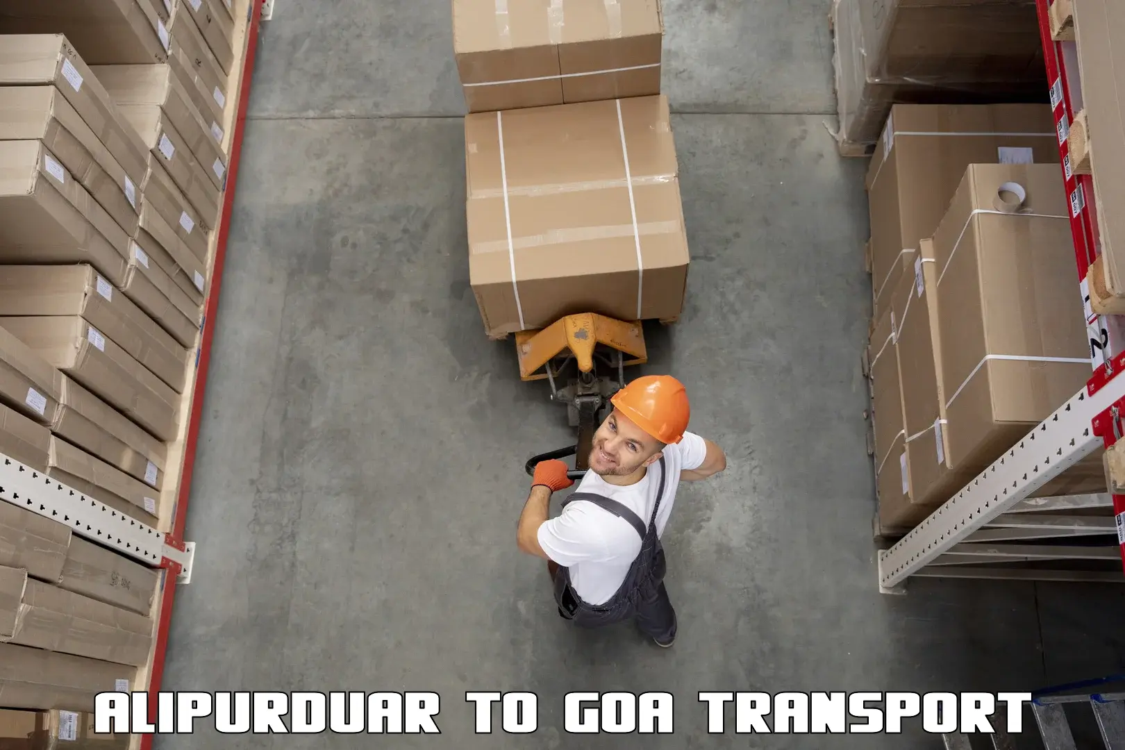 Vehicle courier services Alipurduar to Panjim