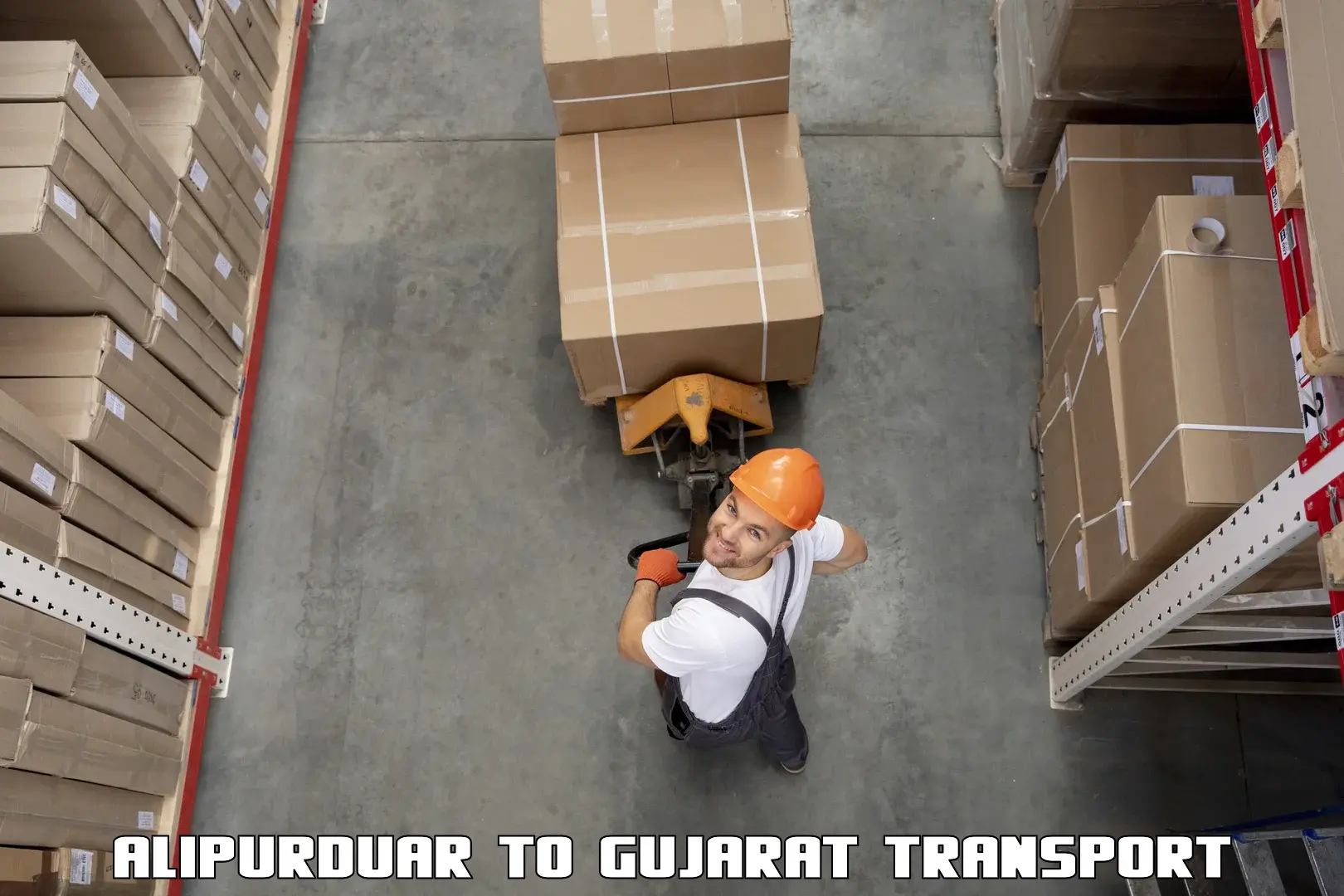 Two wheeler parcel service Alipurduar to Bodeli