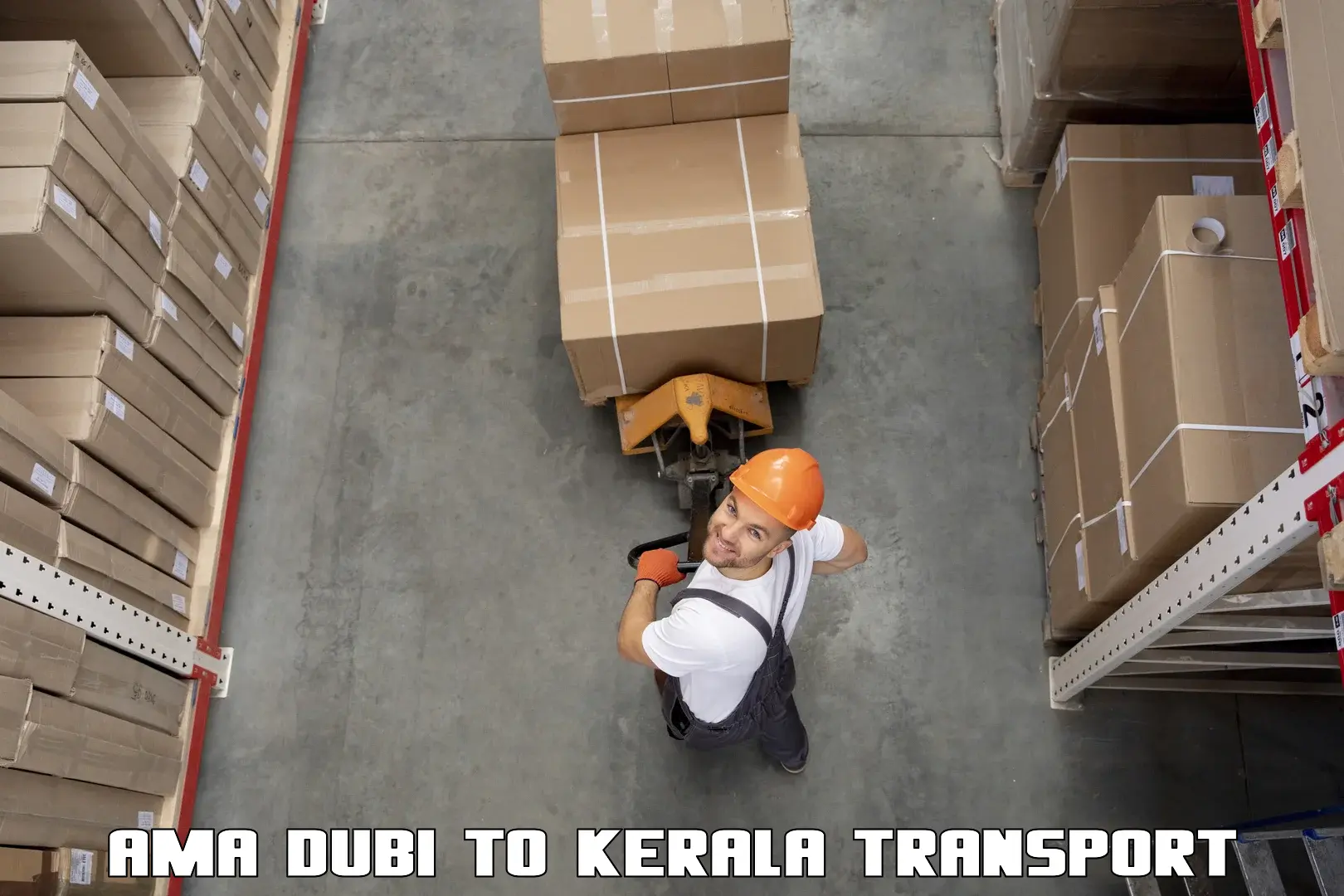 Two wheeler transport services Ama Dubi to Kanjirapally