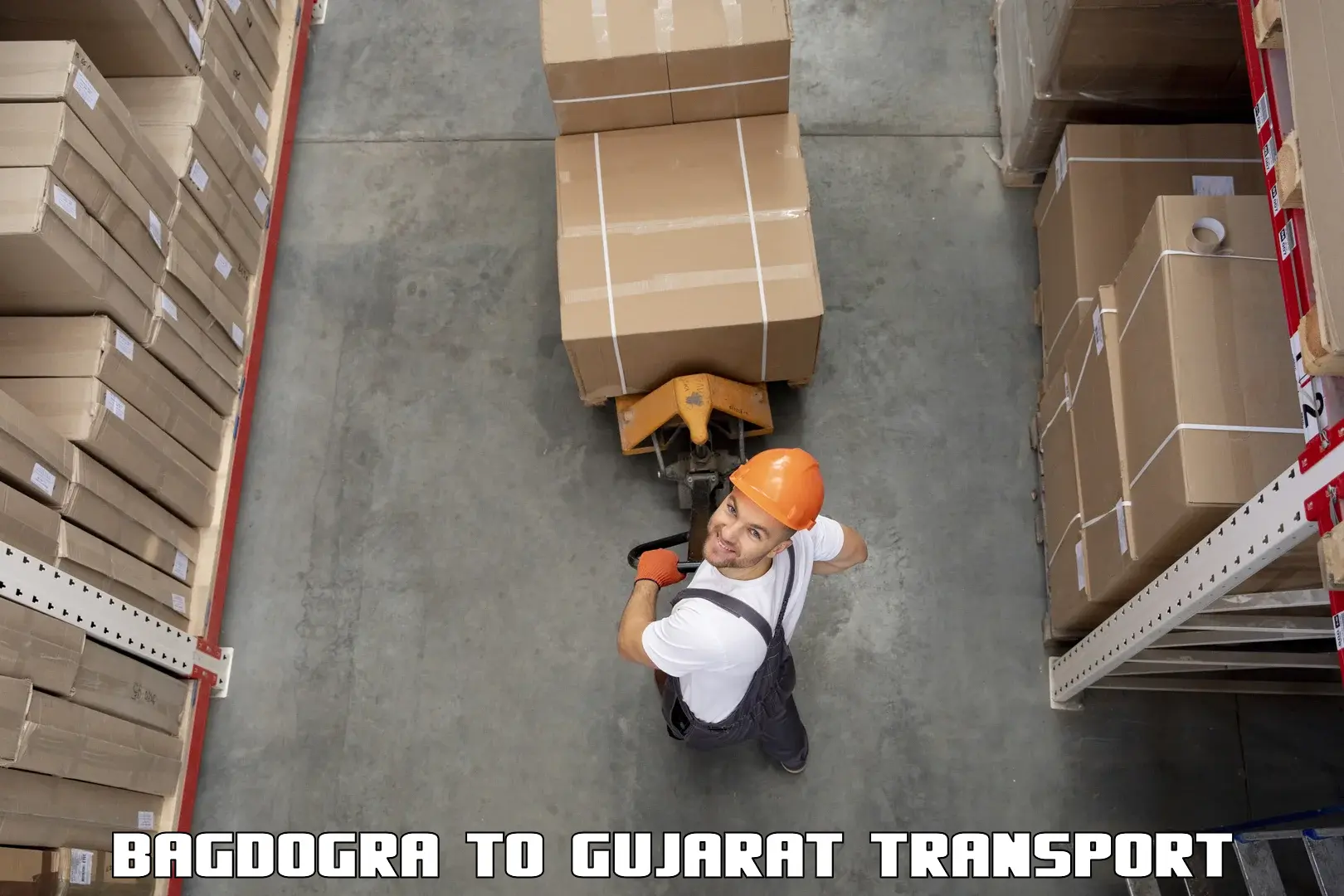 Air cargo transport services Bagdogra to Rajkot