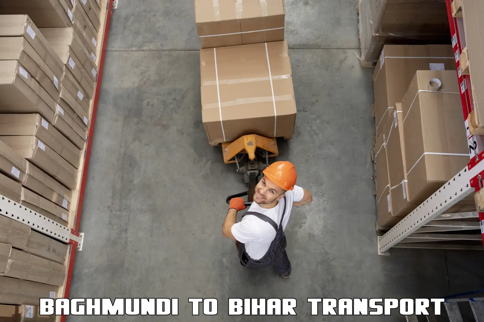 India truck logistics services in Baghmundi to Rajgir