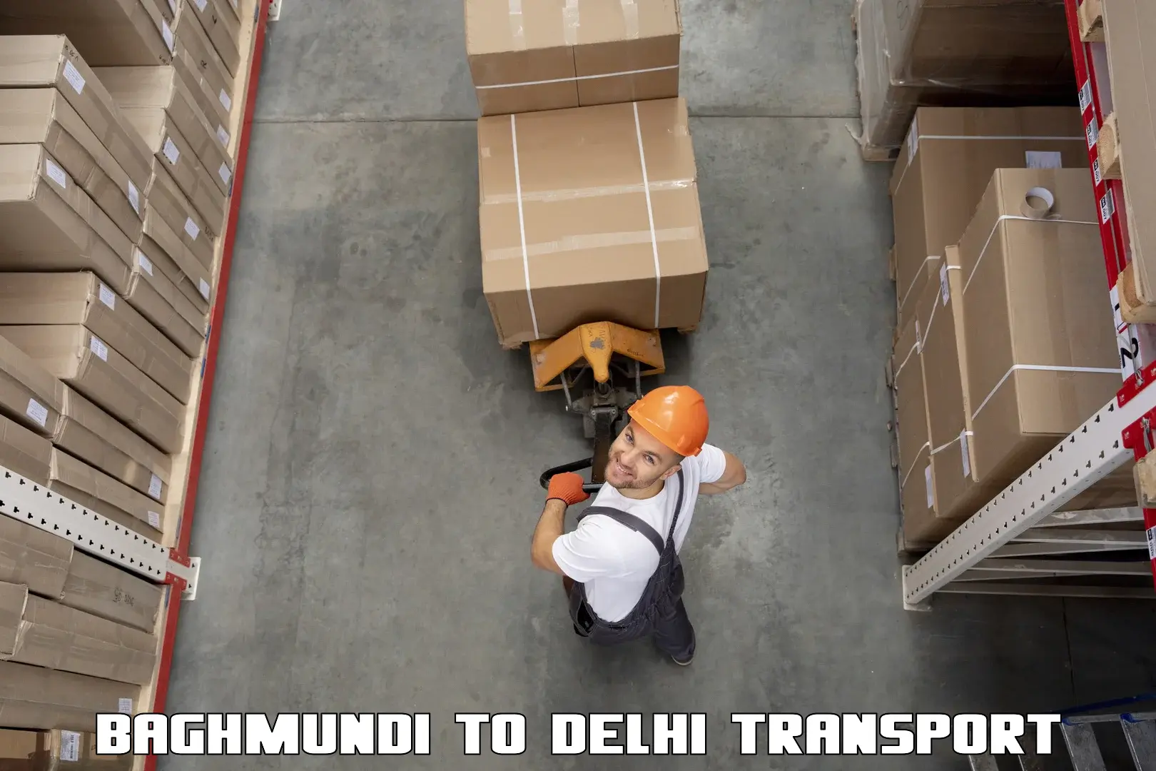 Package delivery services Baghmundi to East Delhi