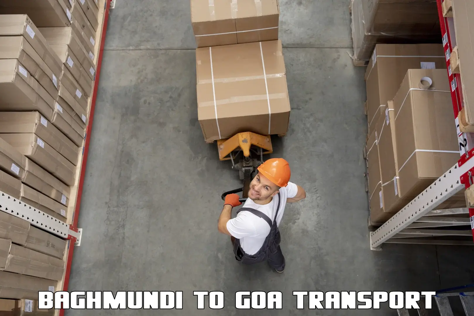 International cargo transportation services Baghmundi to Canacona