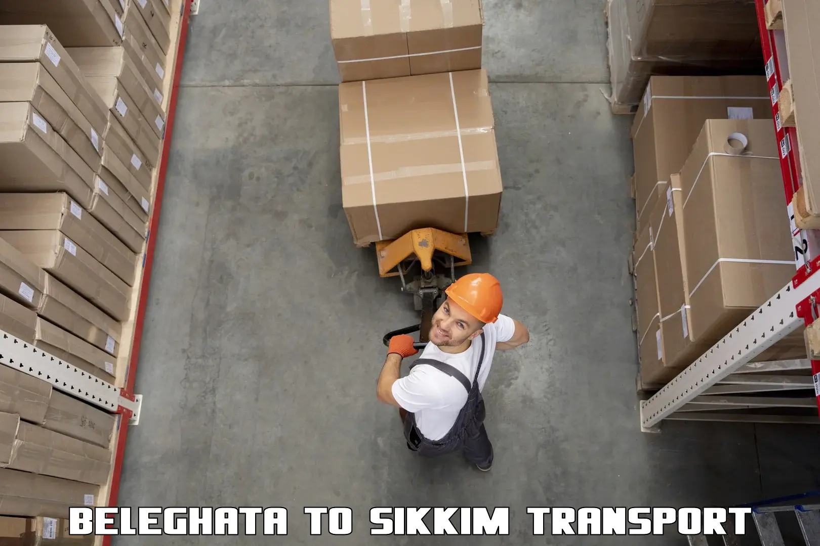 Air freight transport services Beleghata to Gangtok