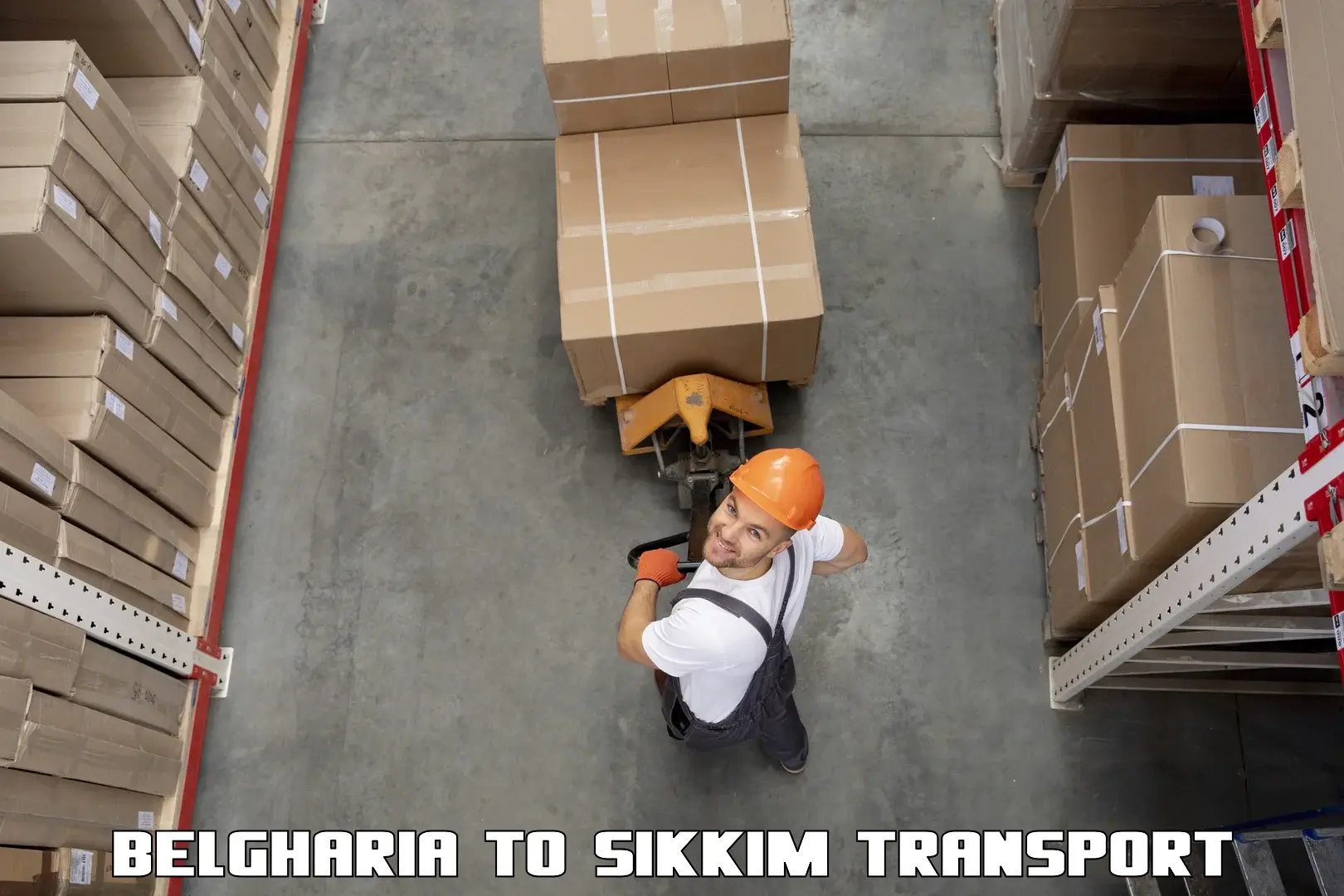 Cargo train transport services Belgharia to North Sikkim