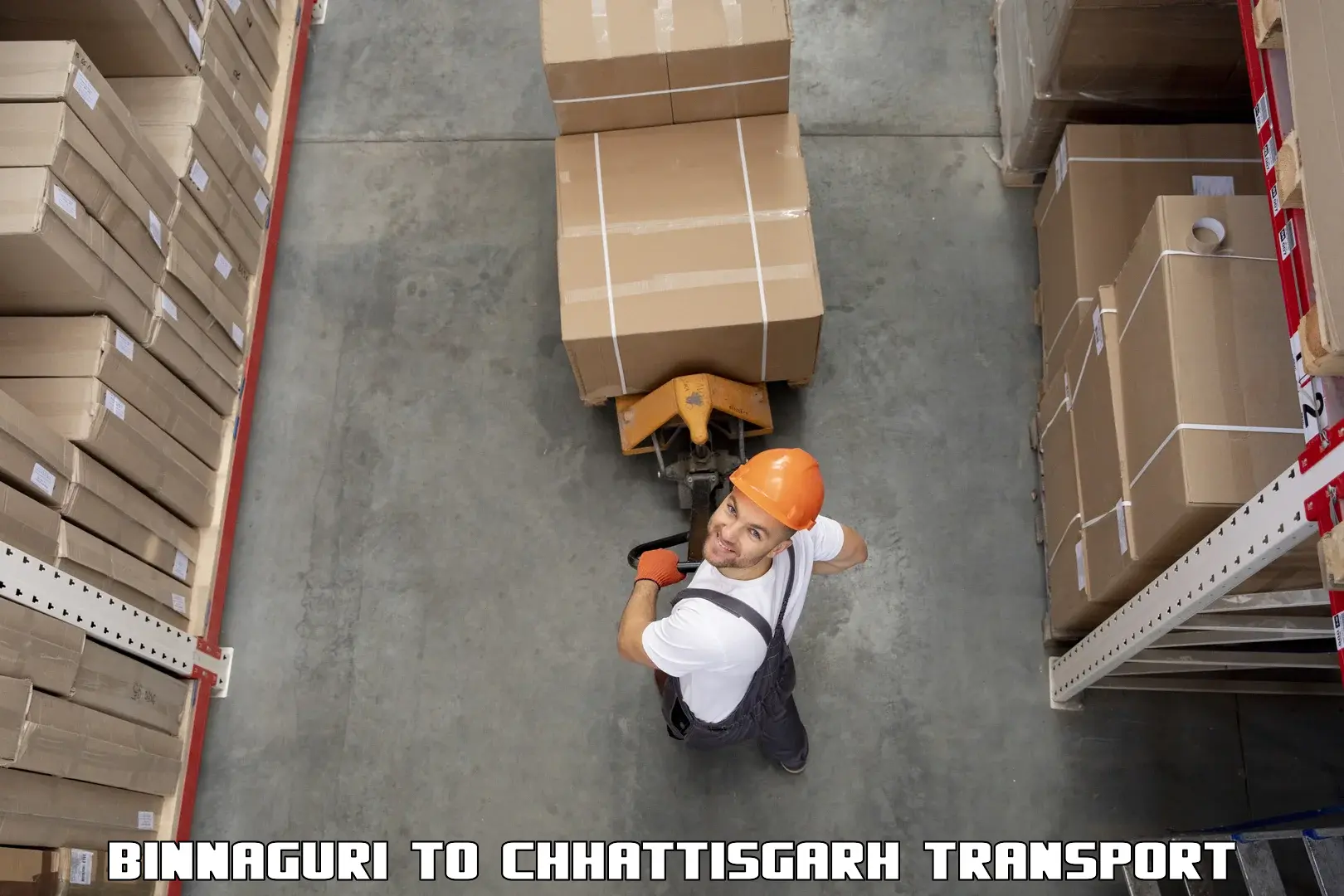 Air freight transport services in Binnaguri to Raigarh Chhattisgarh