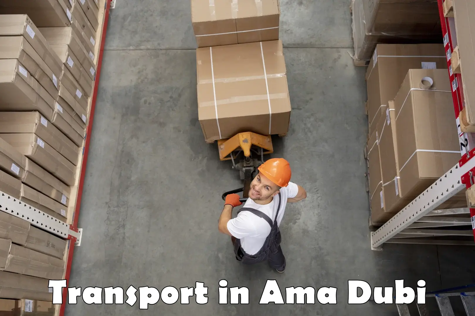 Transport services in Ama Dubi