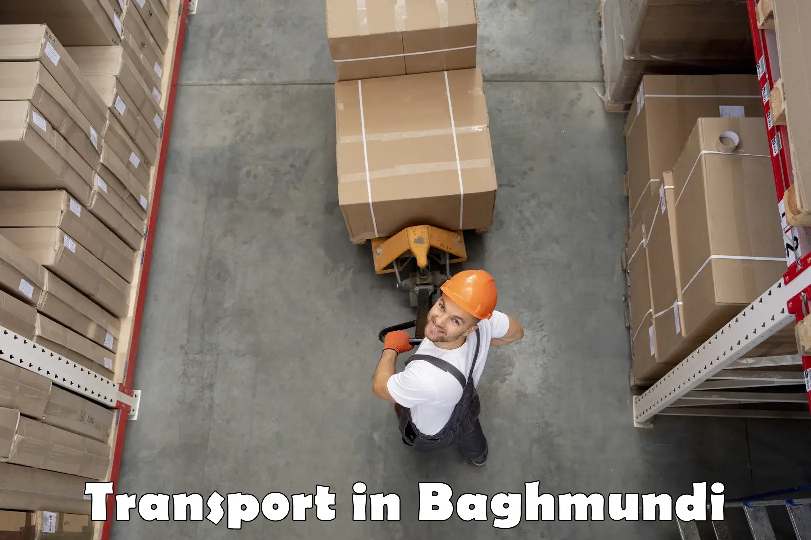 Intercity transport in Baghmundi