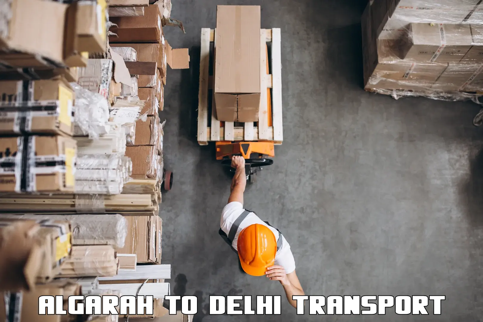Two wheeler transport services Algarah to Jamia Millia Islamia New Delhi