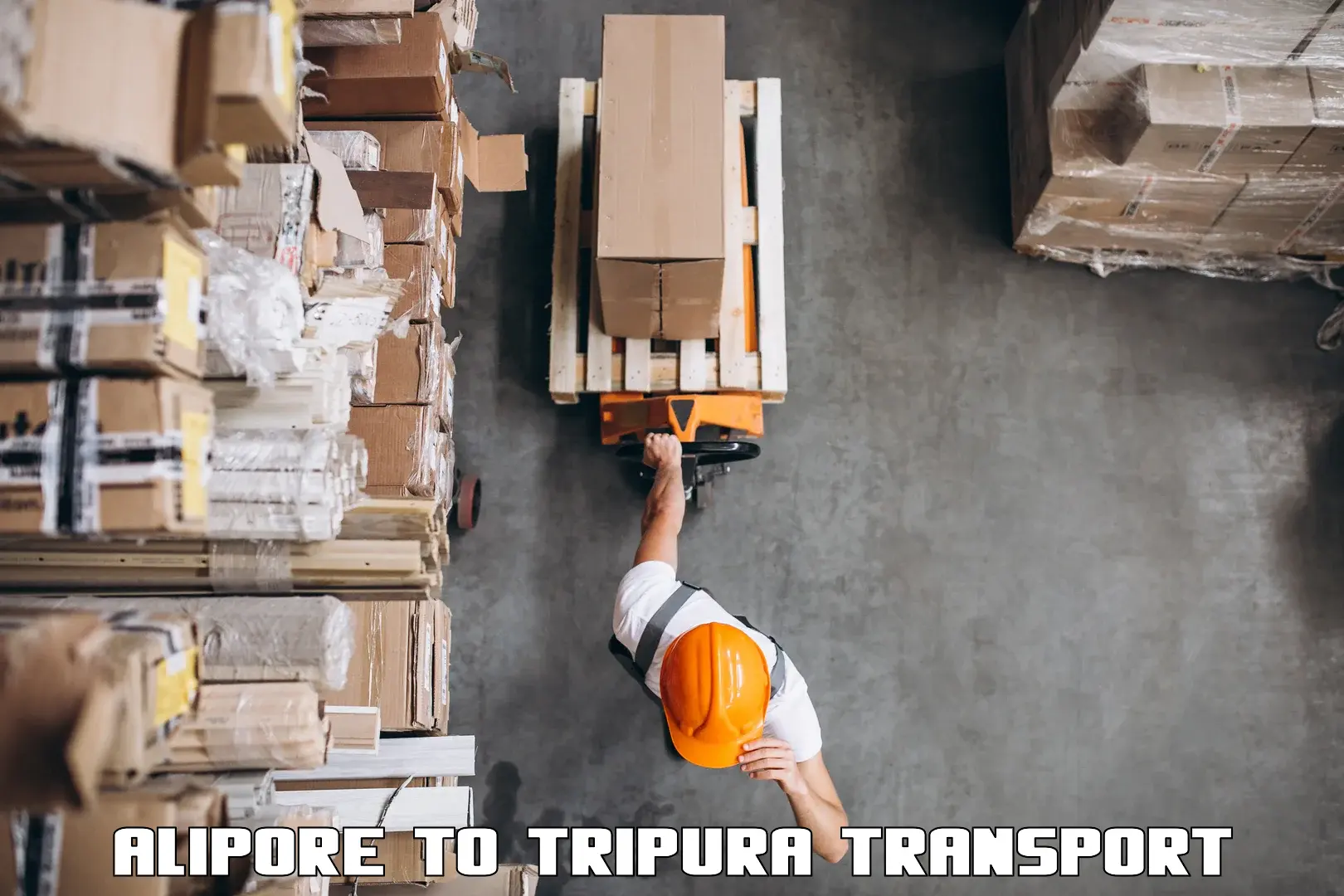 International cargo transportation services Alipore to Radhakishorepur