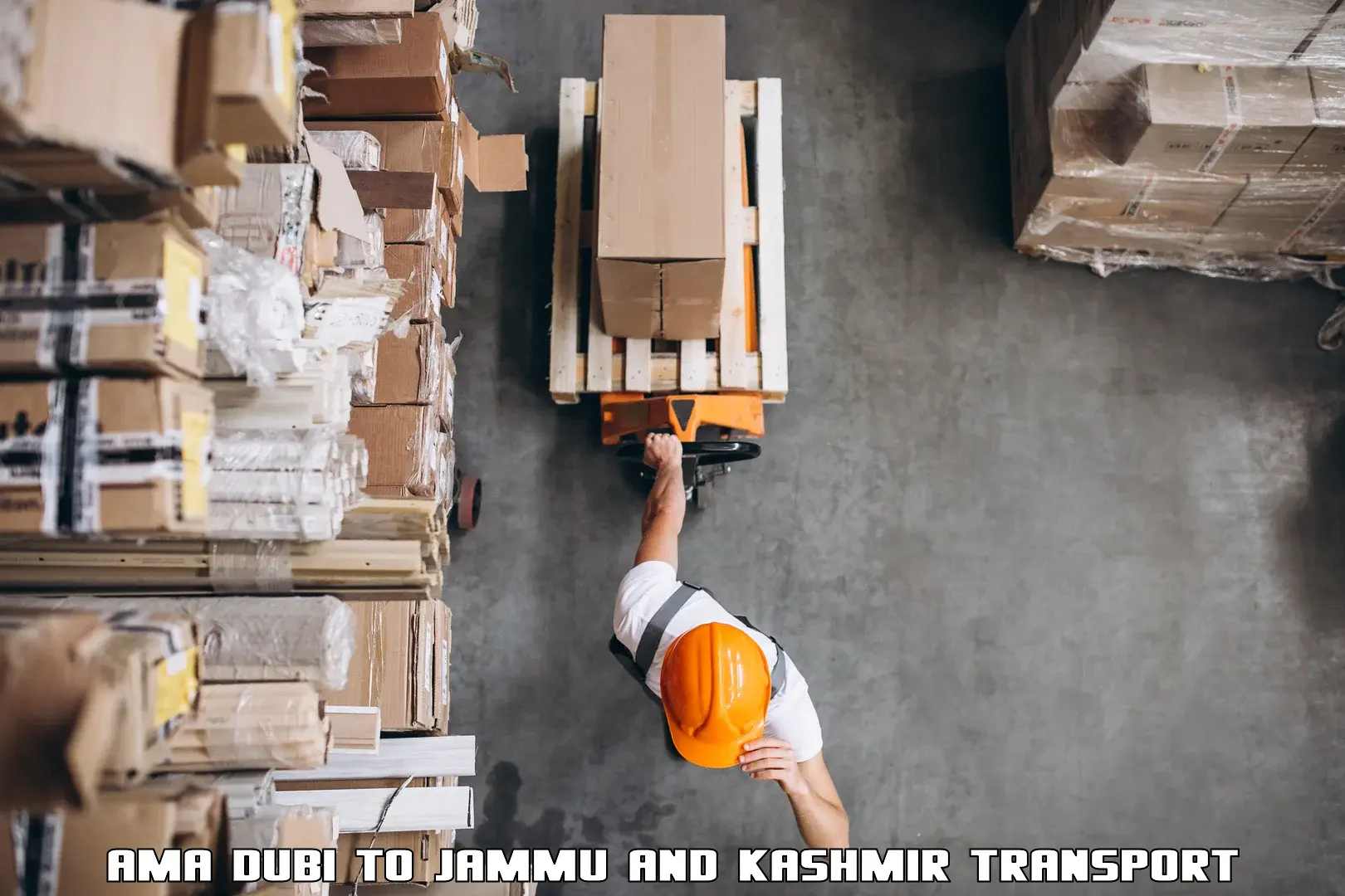Package delivery services Ama Dubi to Jammu and Kashmir