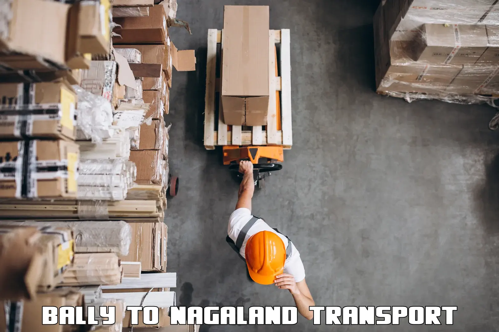 Material transport services Bally to Nagaland