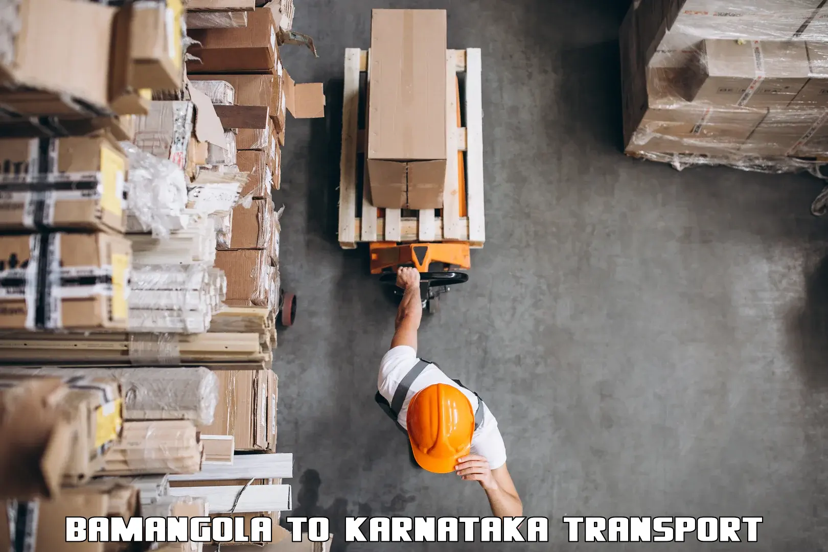Air freight transport services Bamangola to Krishnarajpete