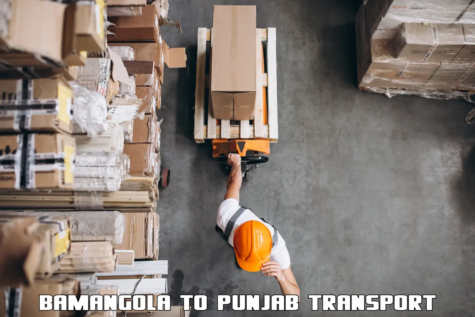 Container transportation services Bamangola to Bagha Purana