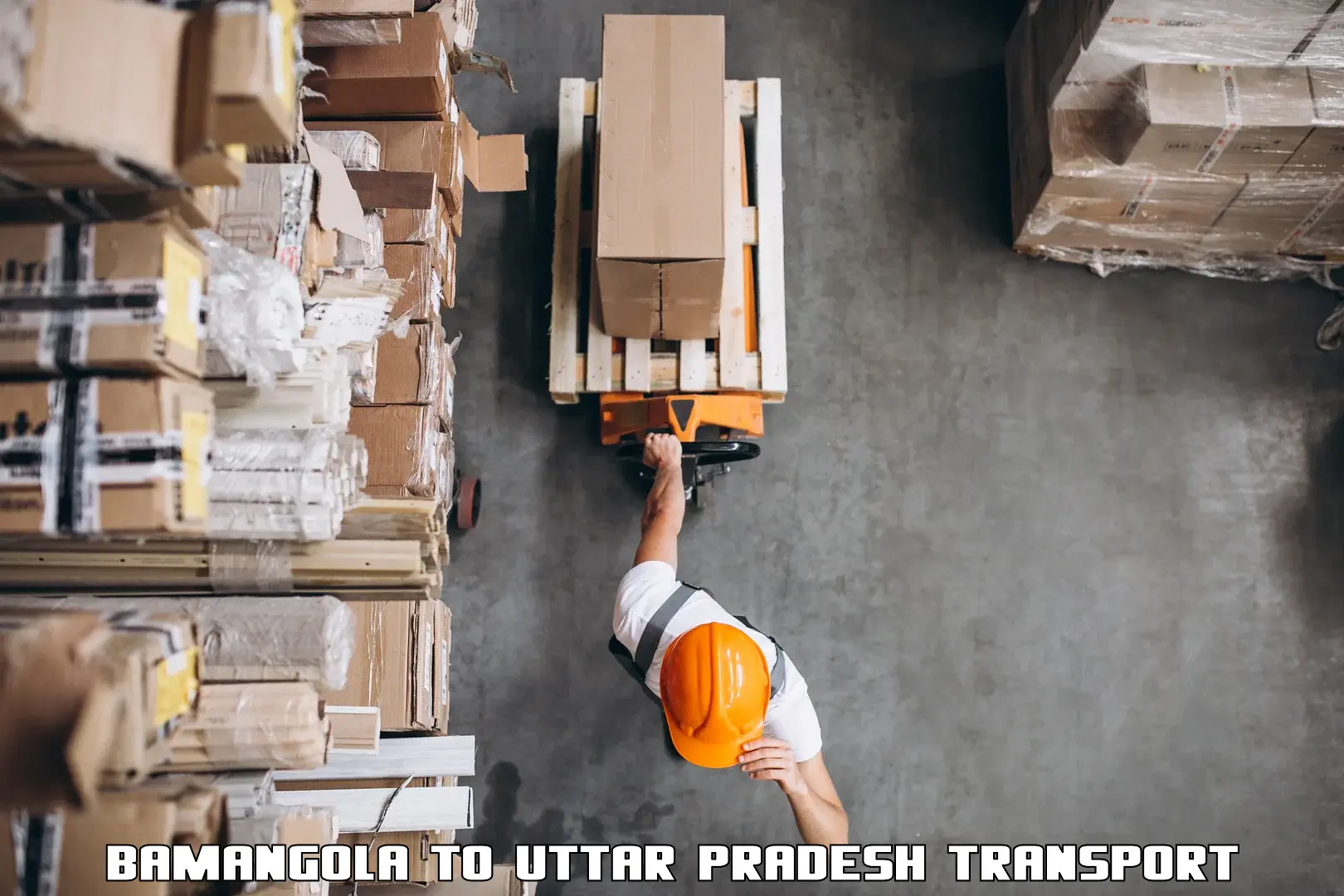 Air cargo transport services in Bamangola to Vrindavan