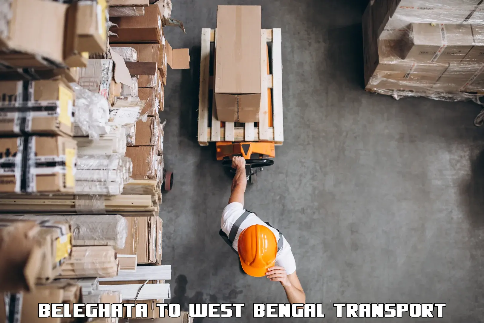 Container transport service Beleghata to Badkulla