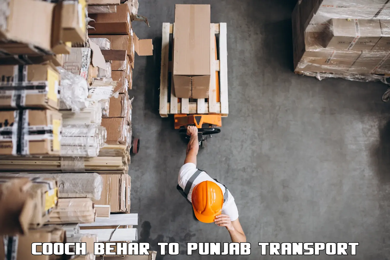 Furniture transport service Cooch Behar to Adampur Jalandhar