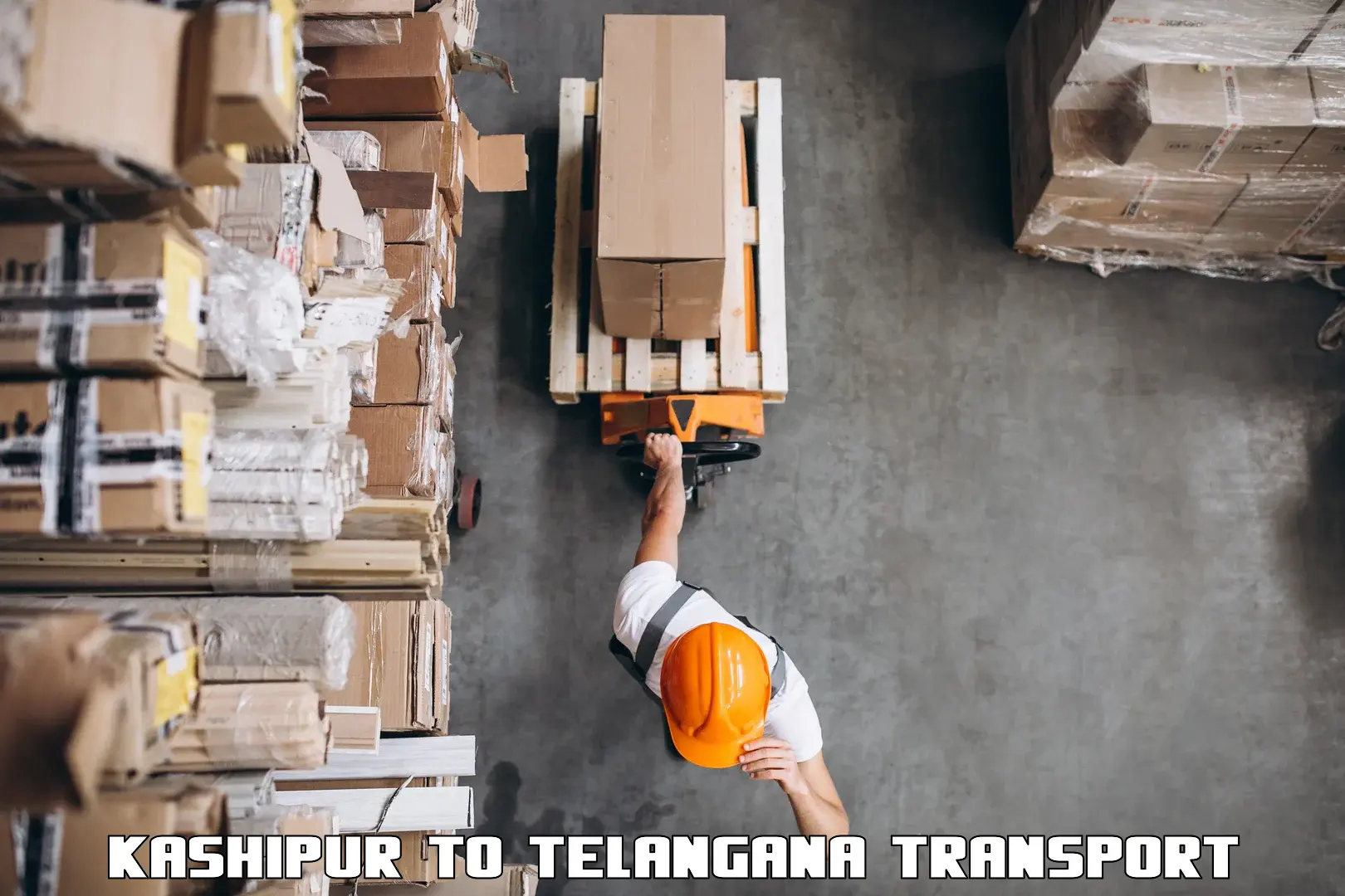 Cargo transportation services Kashipur to Achampet