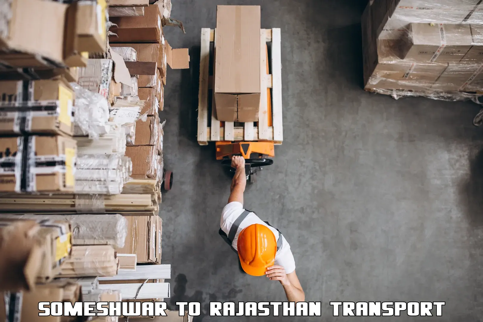 Scooty parcel Someshwar to Rajasthan