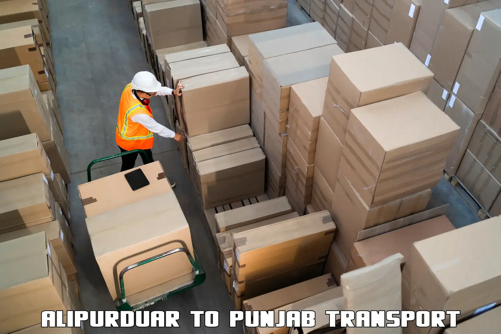 Cargo transport services Alipurduar to Talwandi Sabo