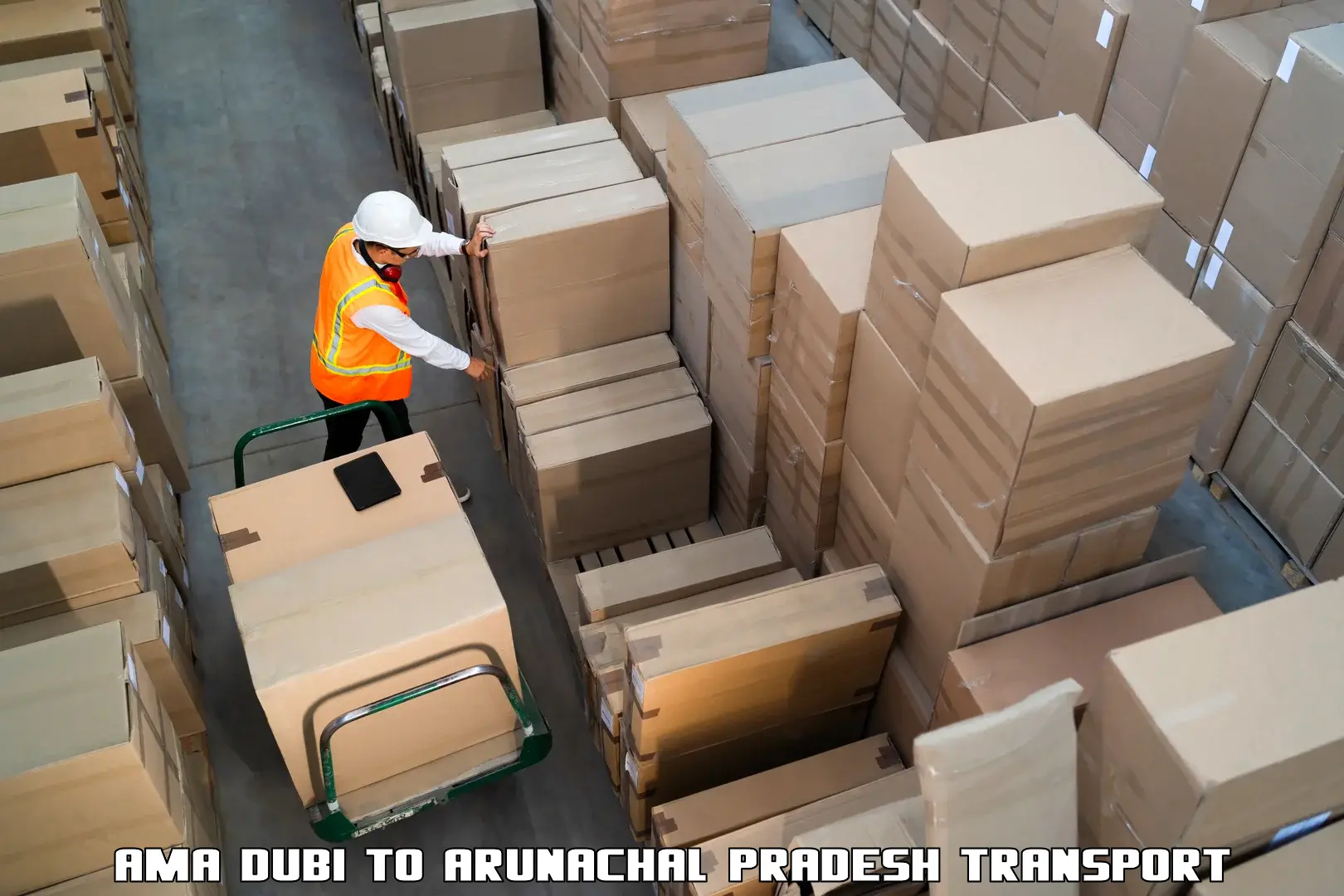 Cargo transport services Ama Dubi to Lower Subansiri