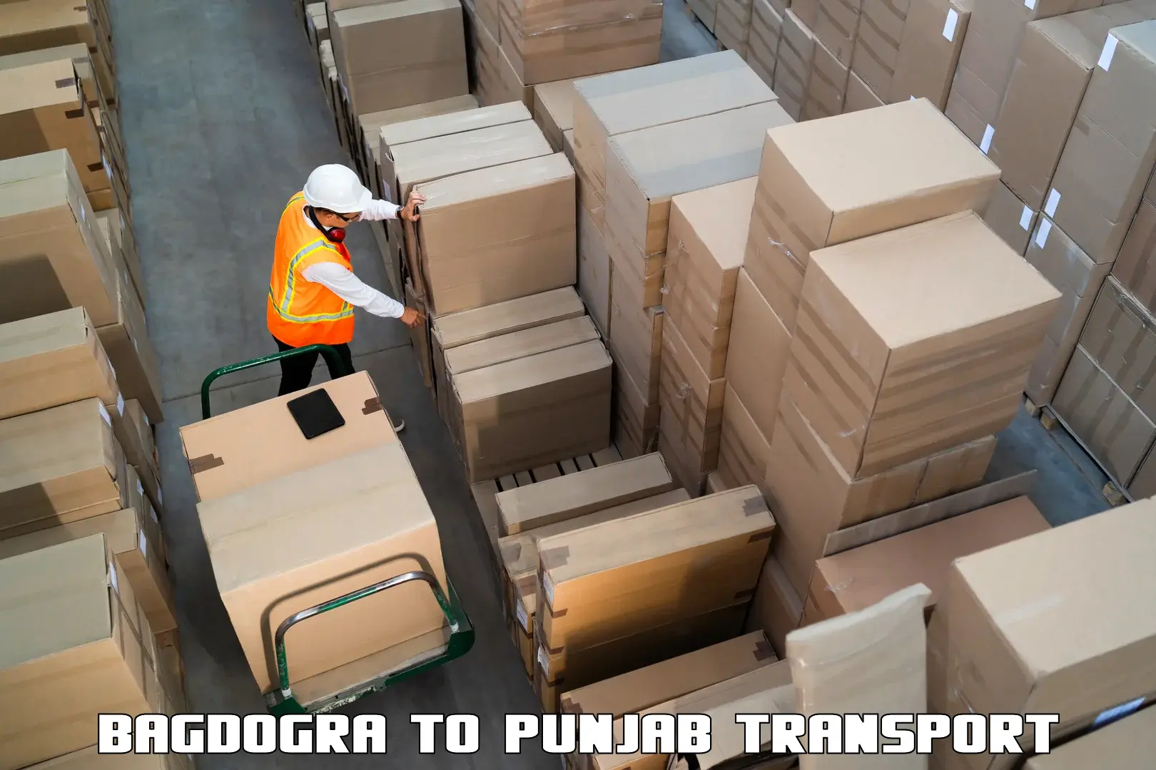 Parcel transport services Bagdogra to Ropar