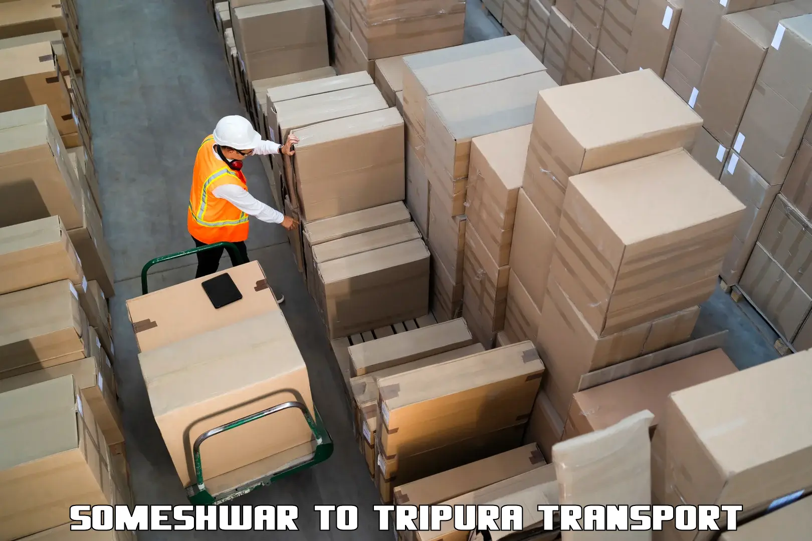 Cargo train transport services Someshwar to Radhakishorepur