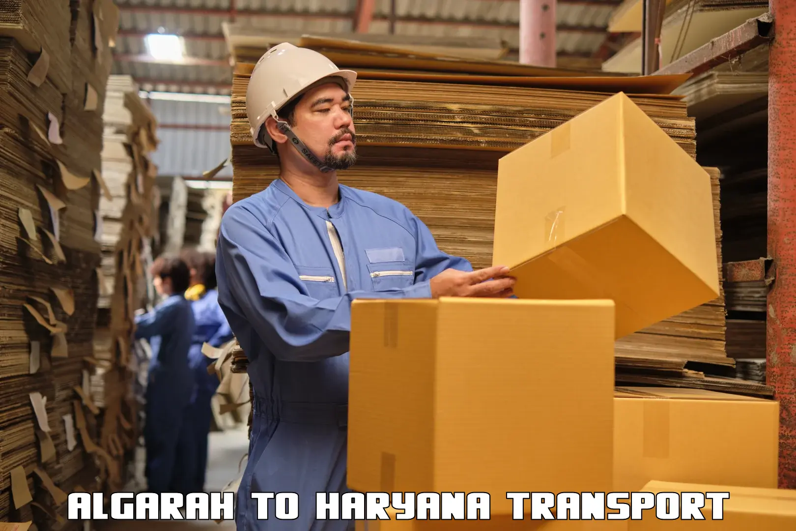 International cargo transportation services Algarah to Gurugram