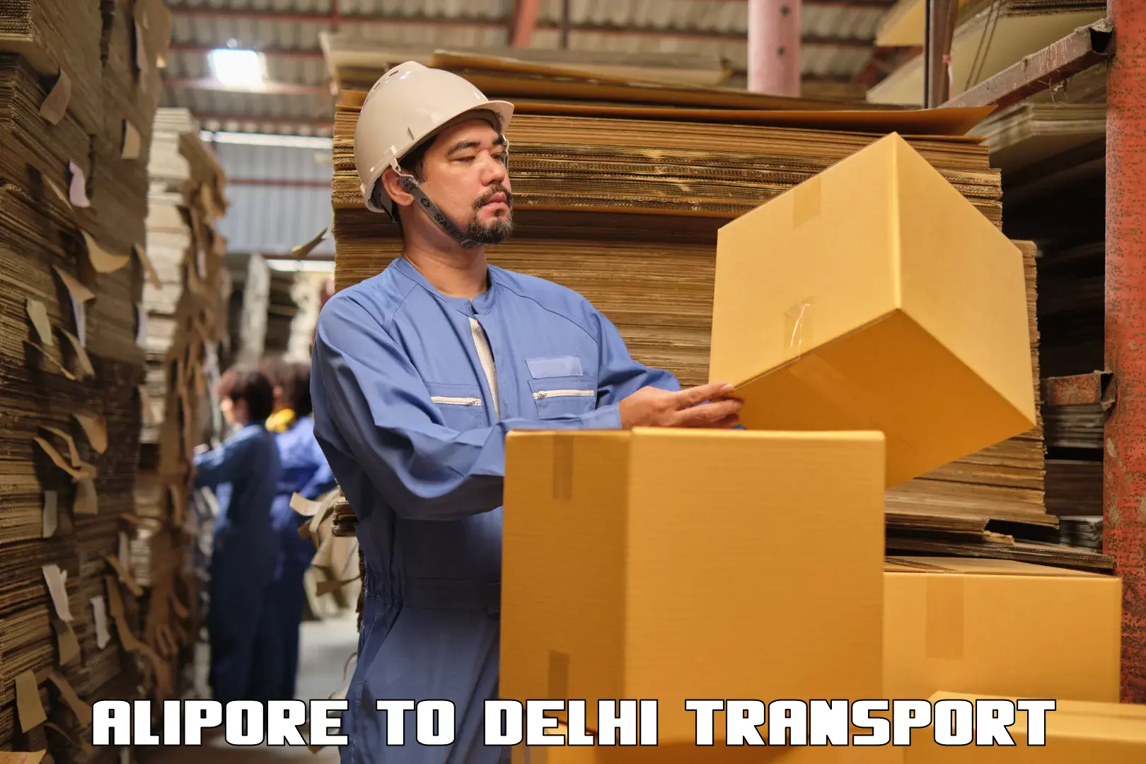 Container transport service Alipore to NIT Delhi