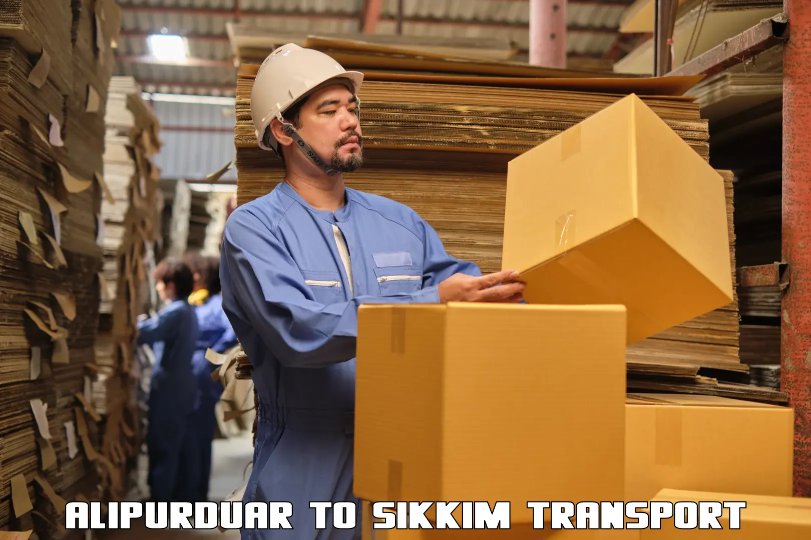 International cargo transportation services in Alipurduar to Sikkim