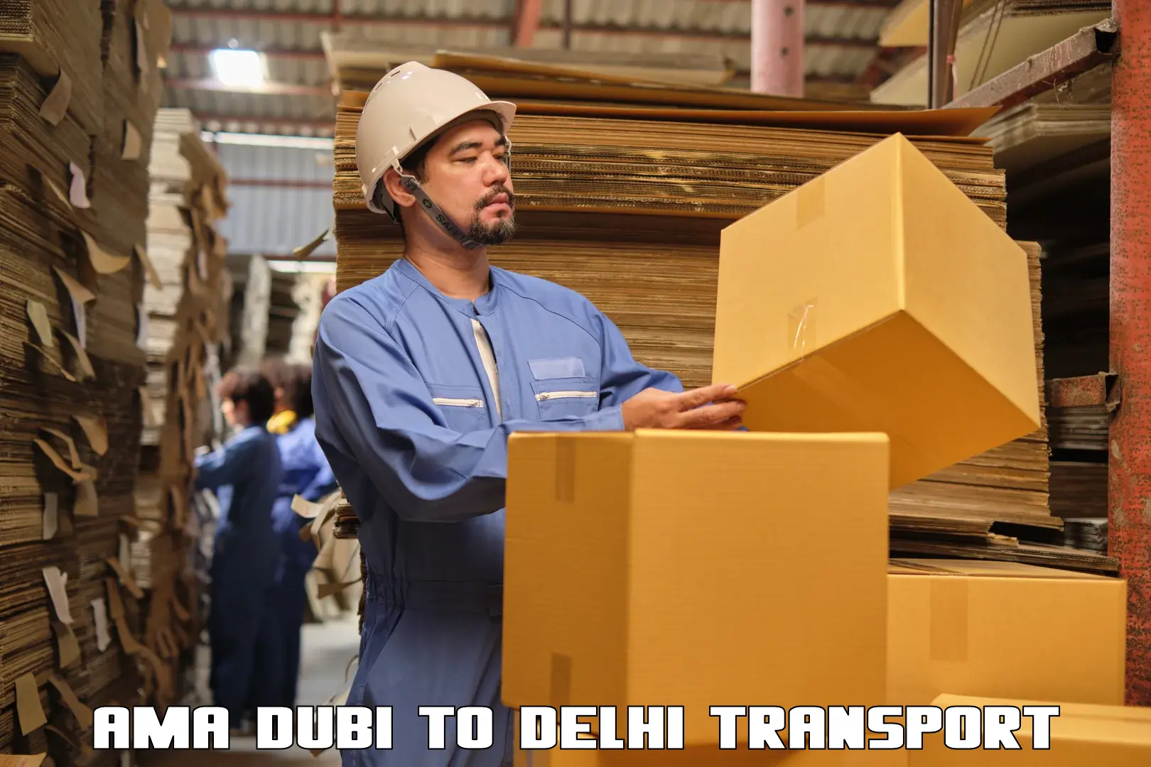 Express transport services Ama Dubi to Delhi
