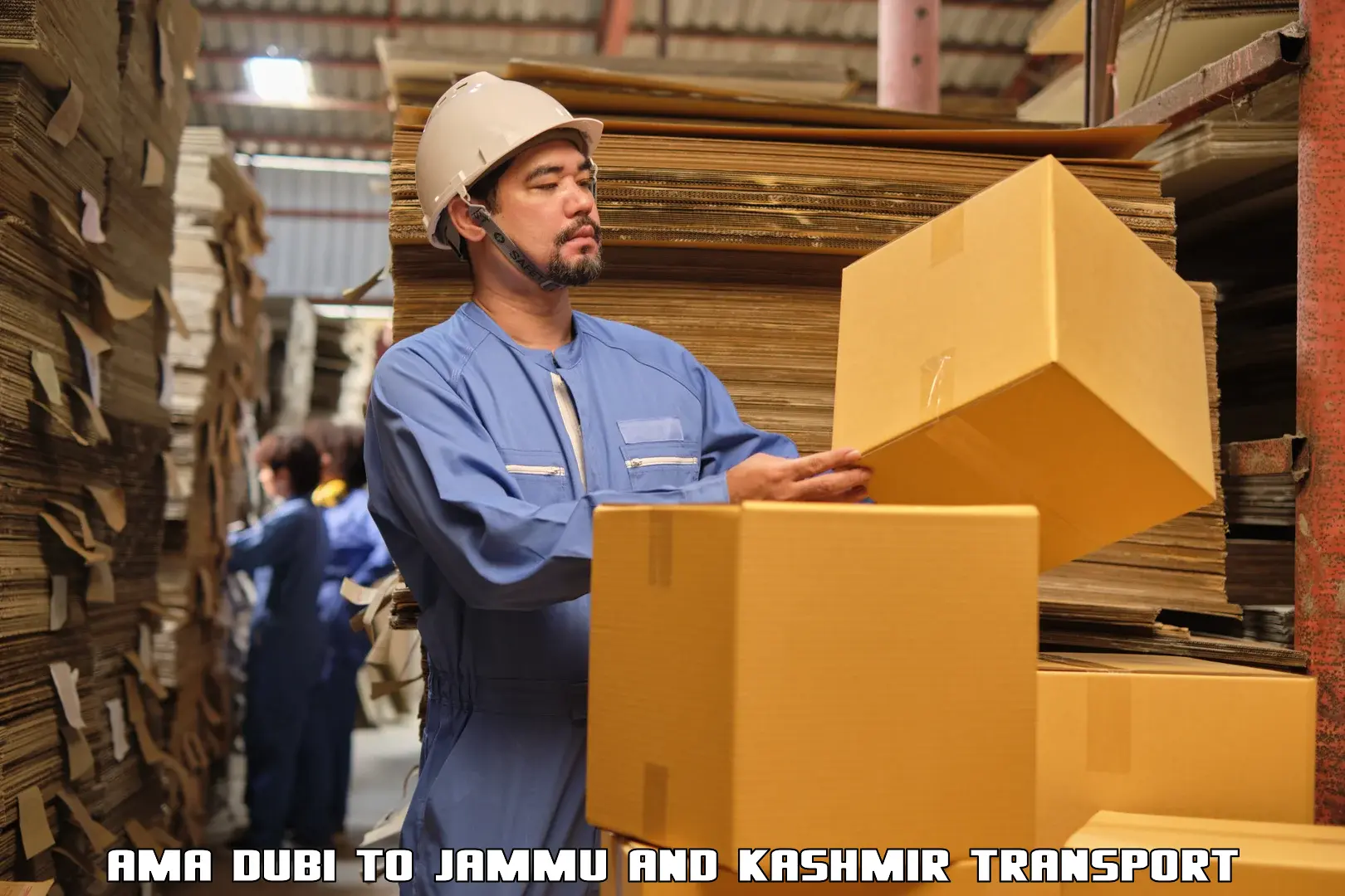 Air cargo transport services Ama Dubi to Jammu
