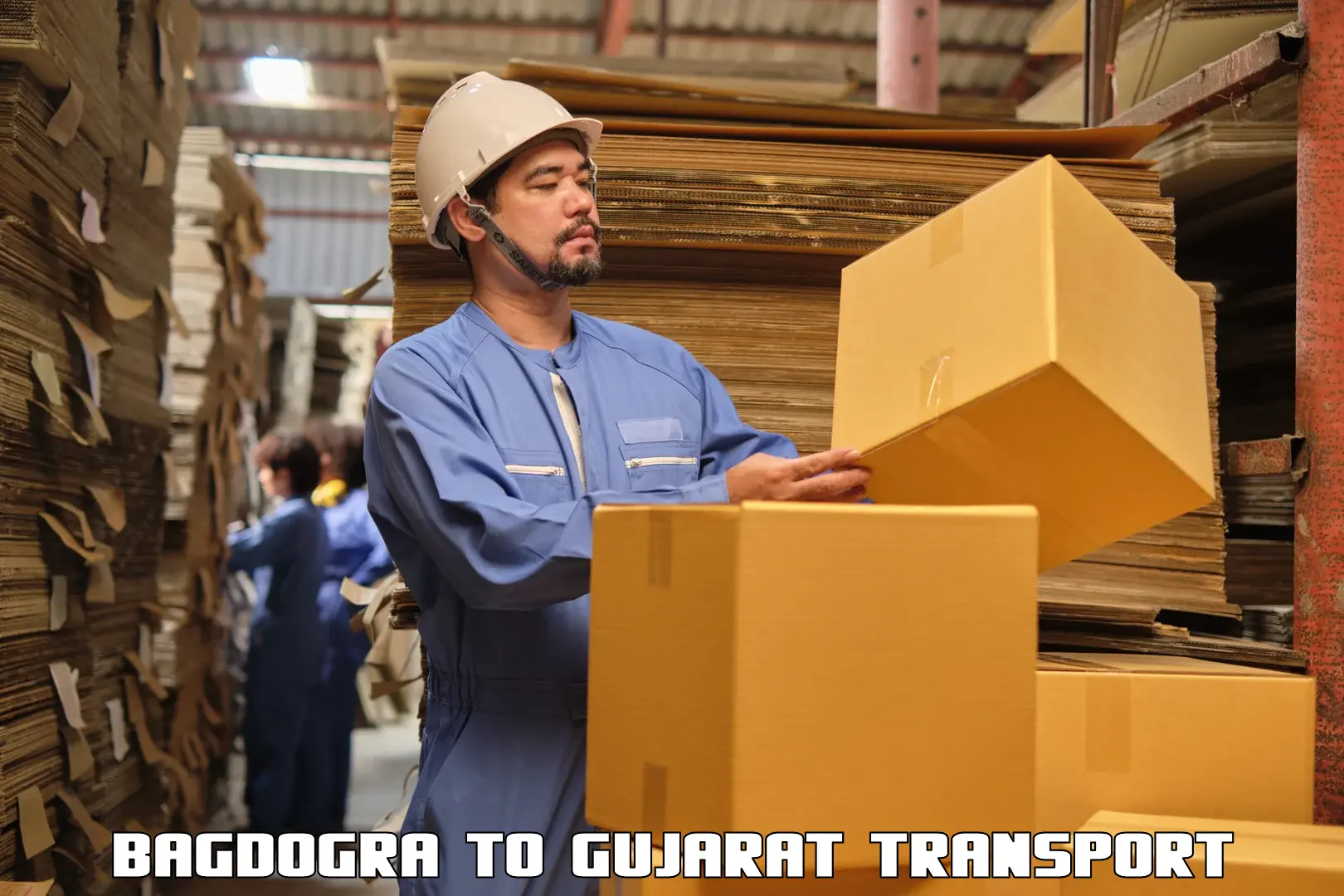 Vehicle transport services Bagdogra to Narmada Gujarat