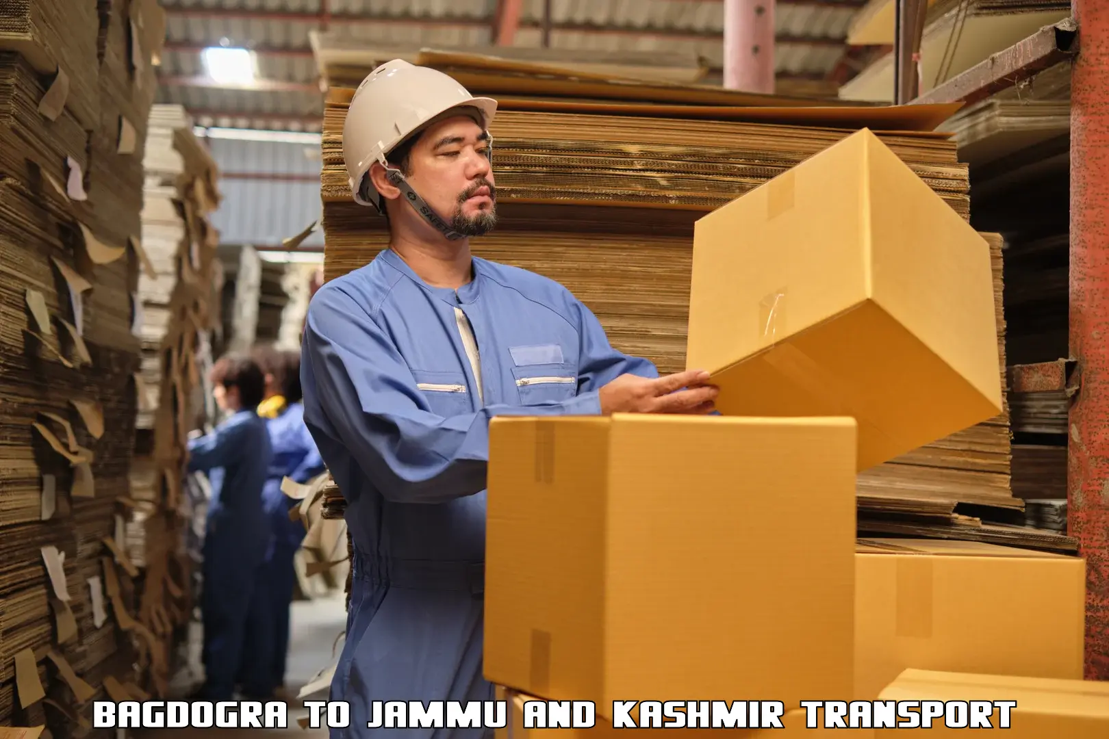India truck logistics services Bagdogra to IIT Jammu