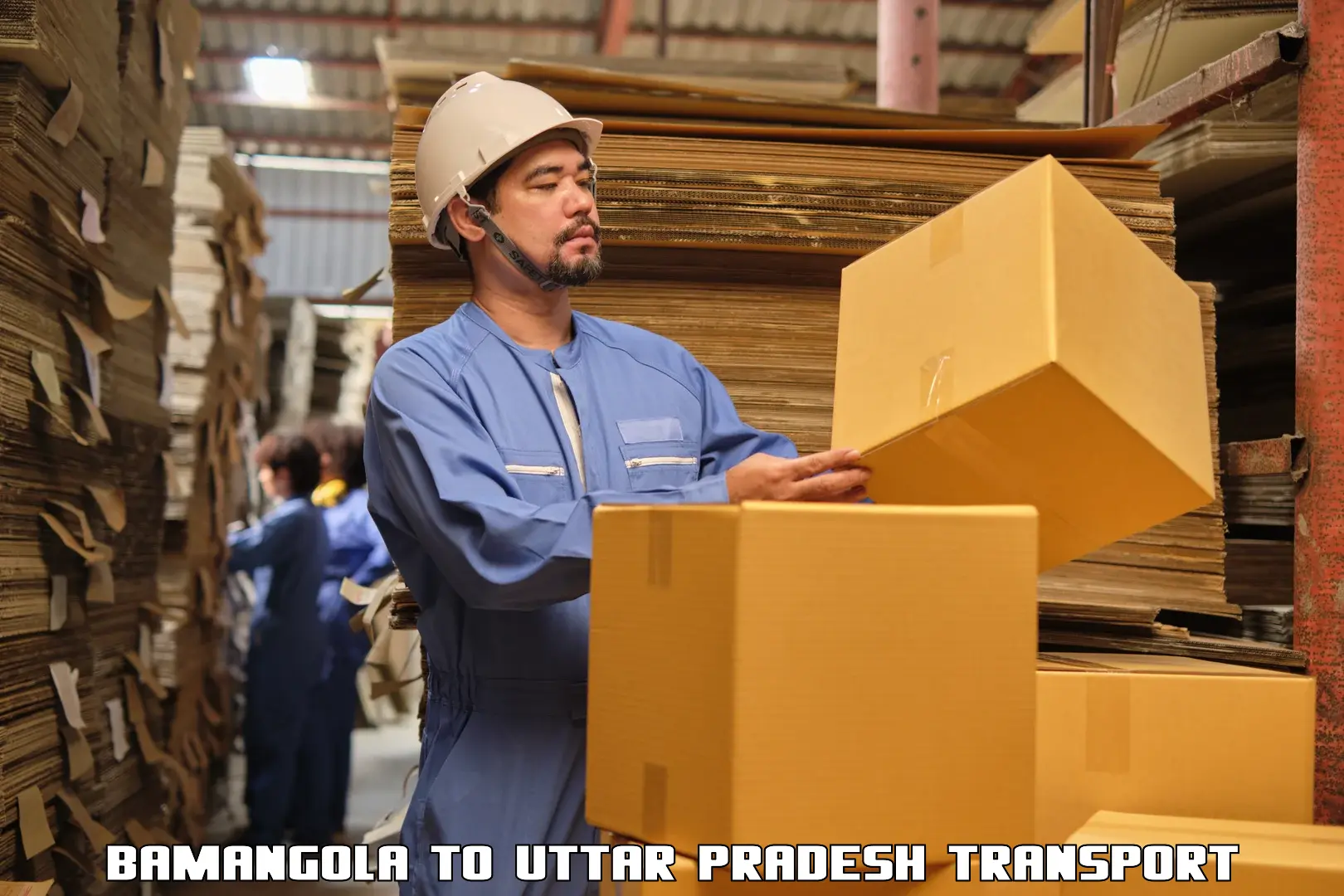Logistics transportation services Bamangola to Vrindavan
