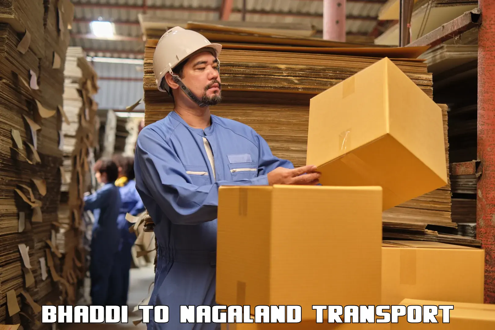 Cargo train transport services Bhaddi to Mon