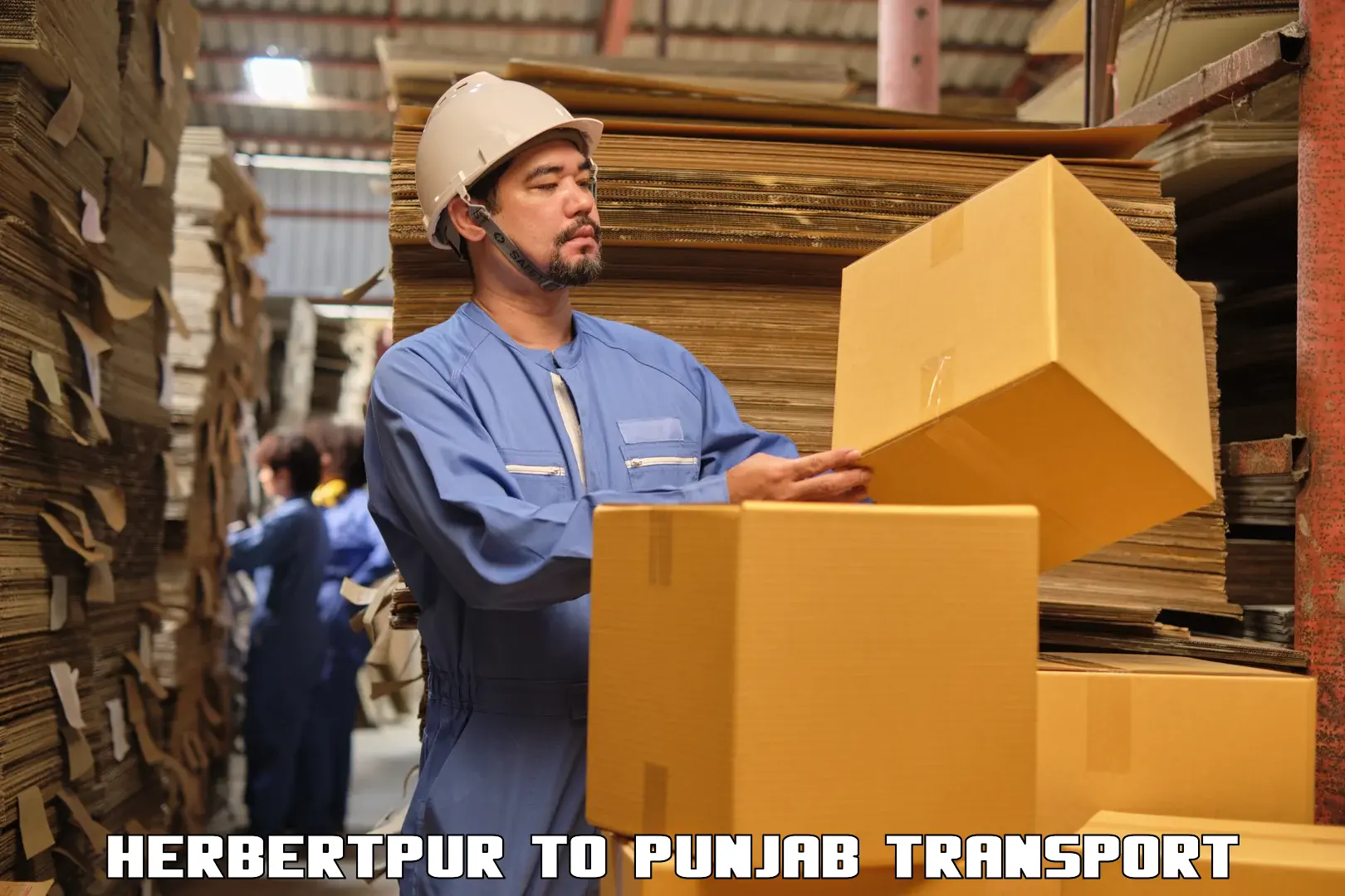 Container transportation services Herbertpur to Talwara