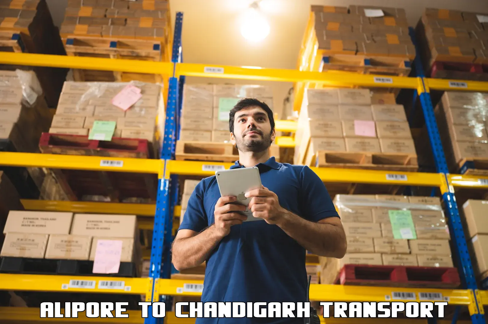 Domestic goods transportation services Alipore to Panjab University Chandigarh
