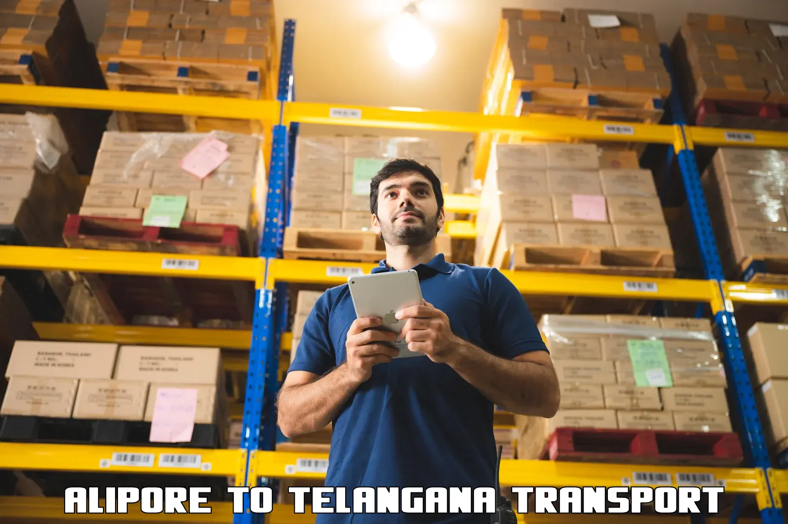 Logistics transportation services Alipore to Tallada