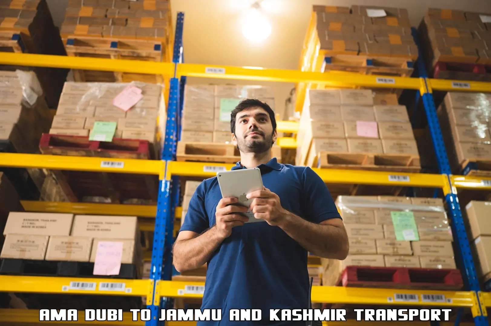 Cargo train transport services Ama Dubi to Jammu and Kashmir