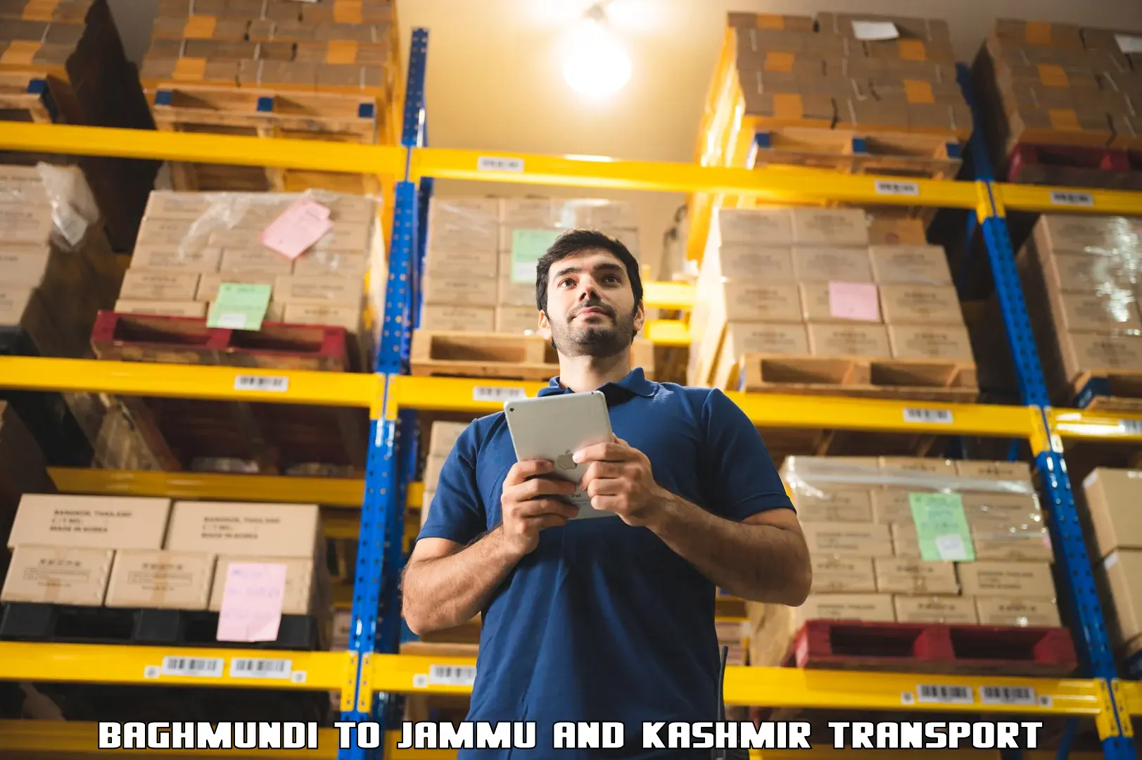 India truck logistics services Baghmundi to Hiranagar
